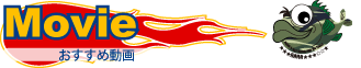映像